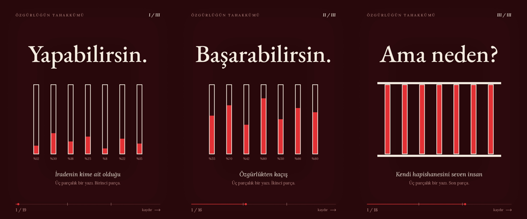 Bordo zemin üzerinde Yapabilirsin, Başarabilirsin ve Ama neden? başlıklı üçlü Özgürlüğün Tahakkümü kapak tasarımı.